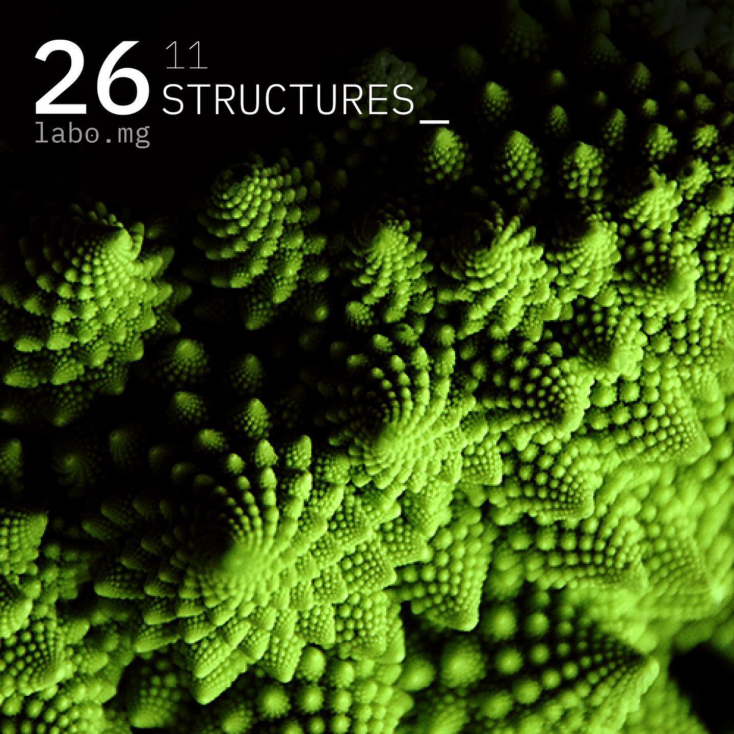 Le chou romanesco, fractal