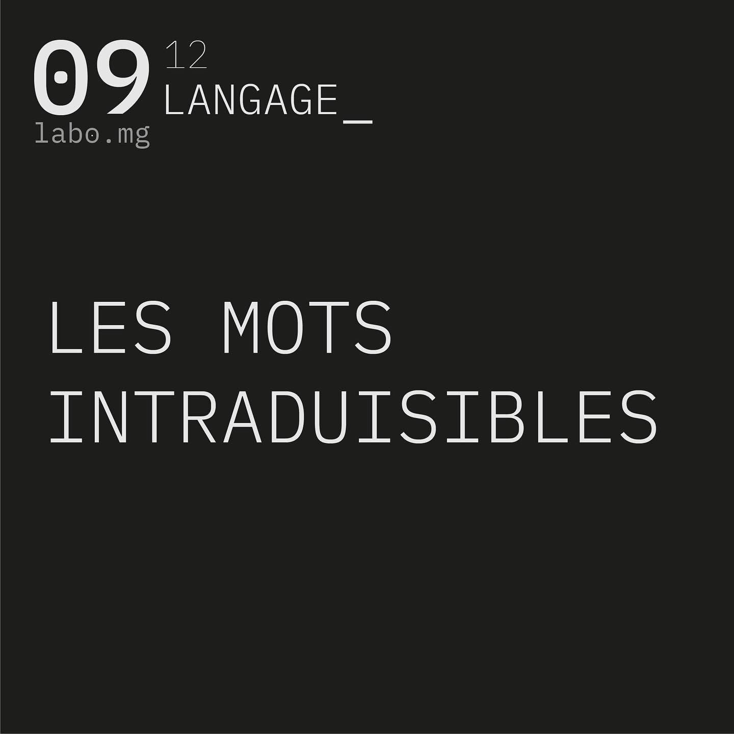 Mots intraduisibles