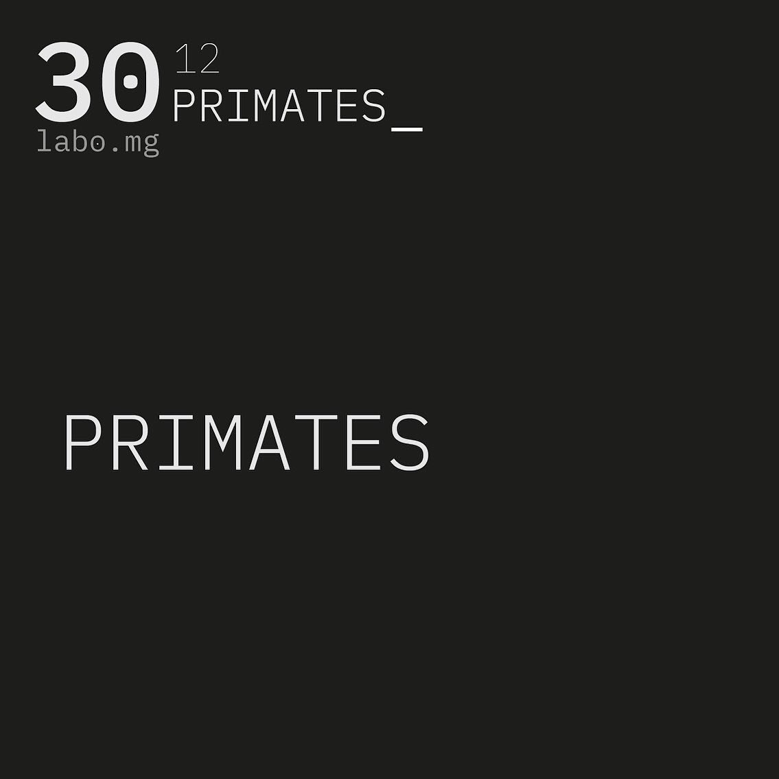 Portraits de primates