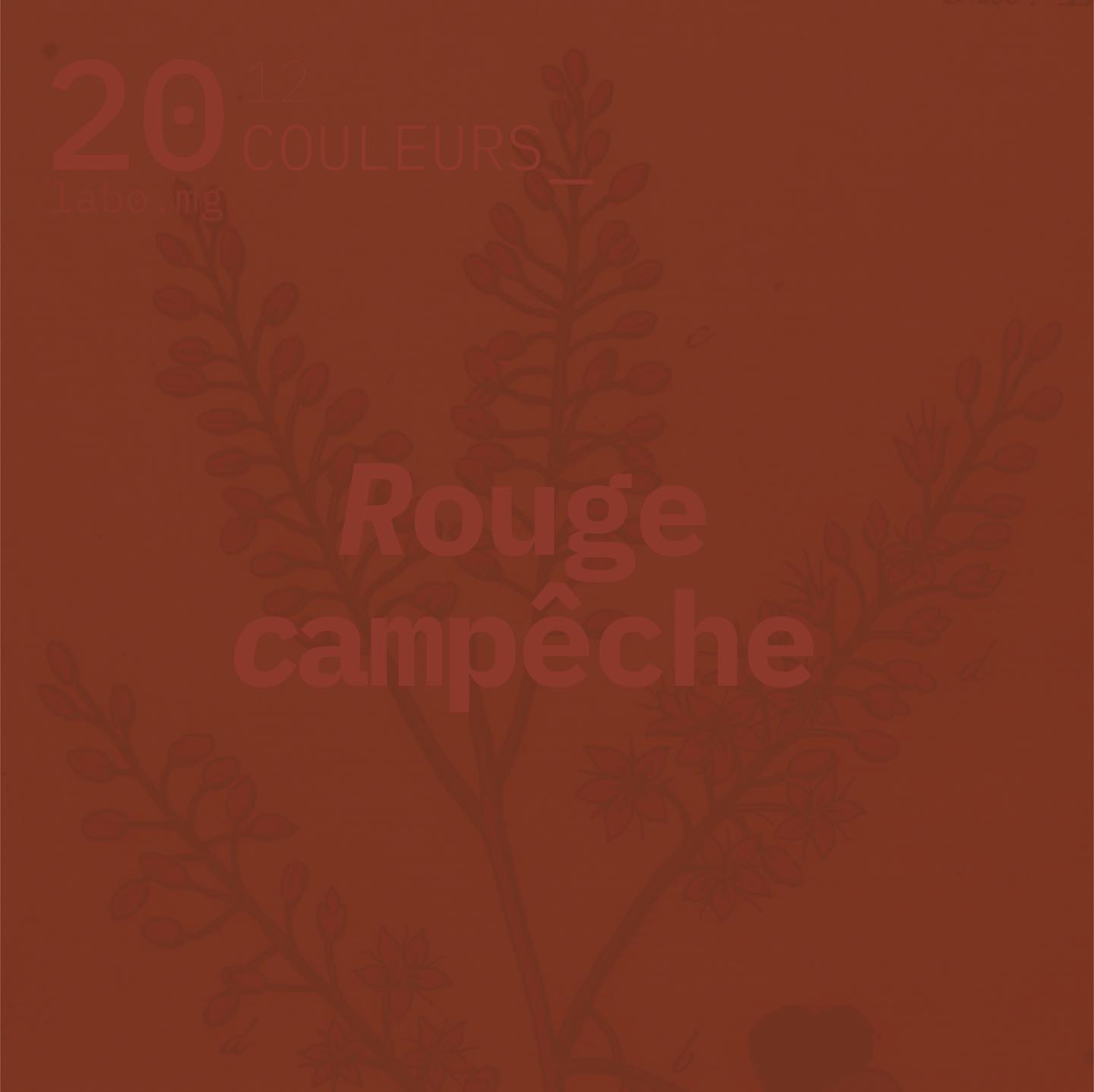 Rouge de campêche