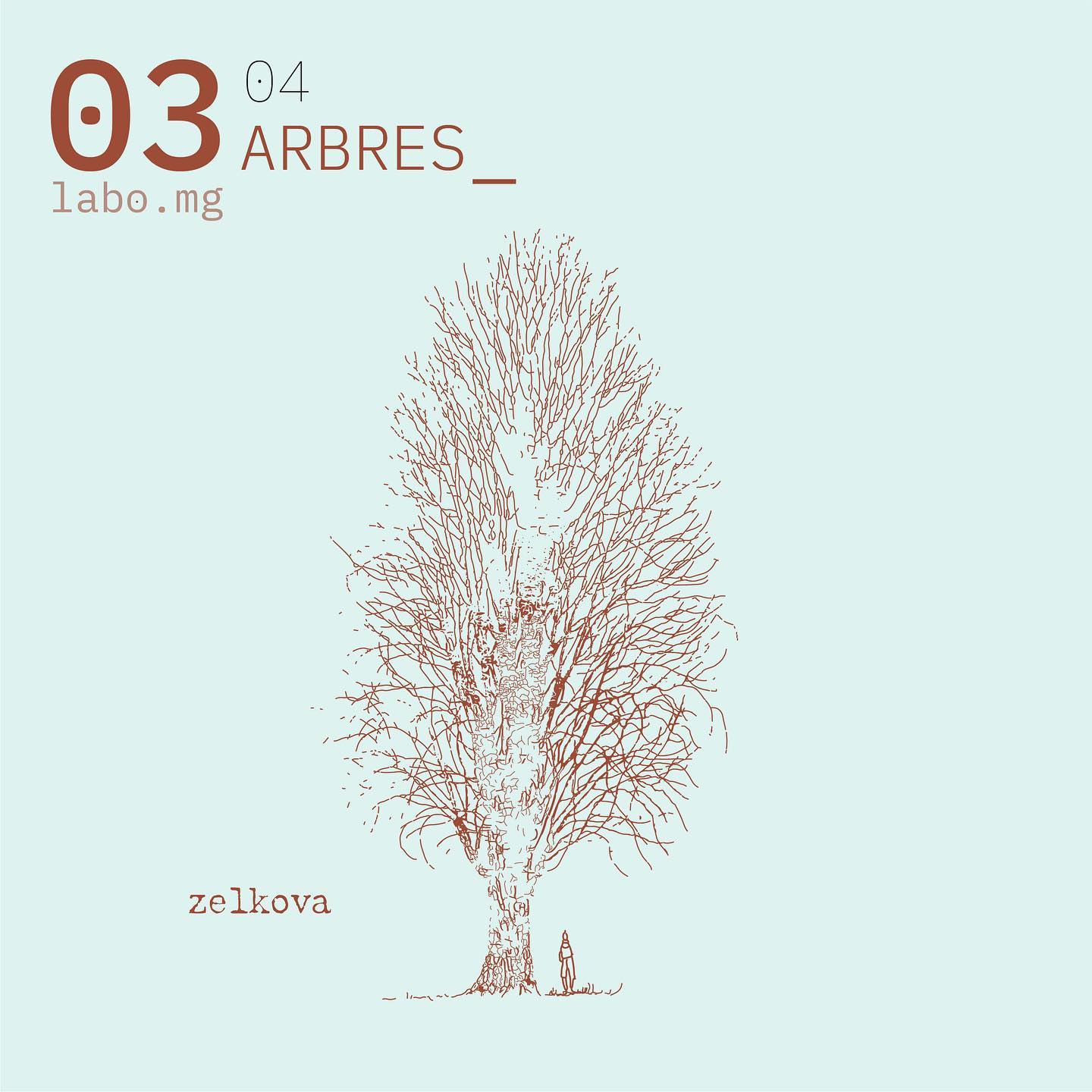 Arbres urbains remarquables