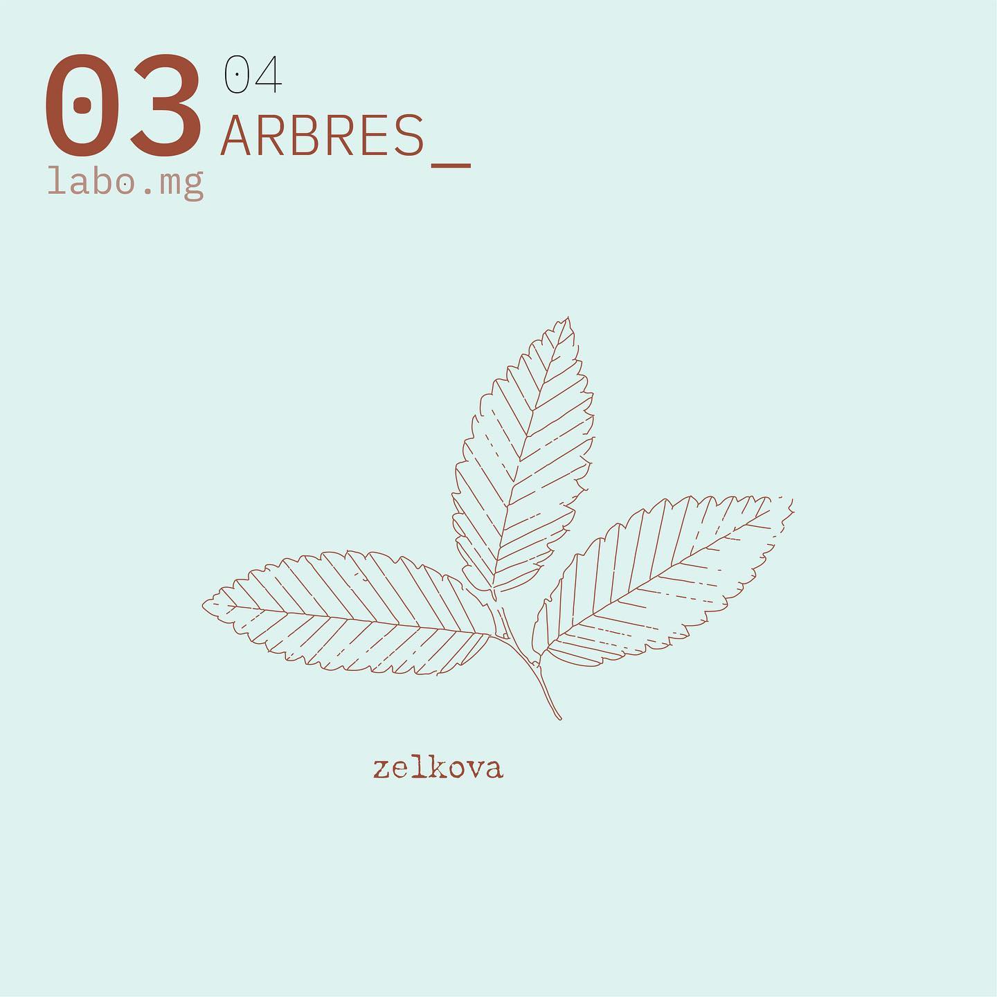 Arbres urbains remarquables