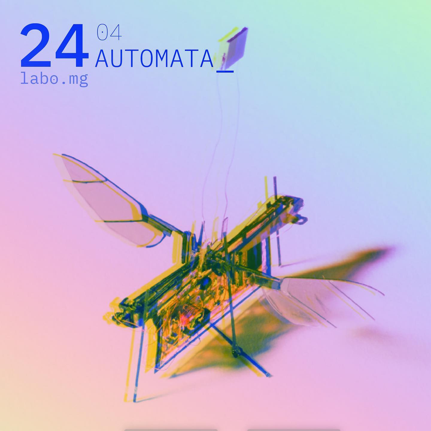 Intelligentia Cœtus