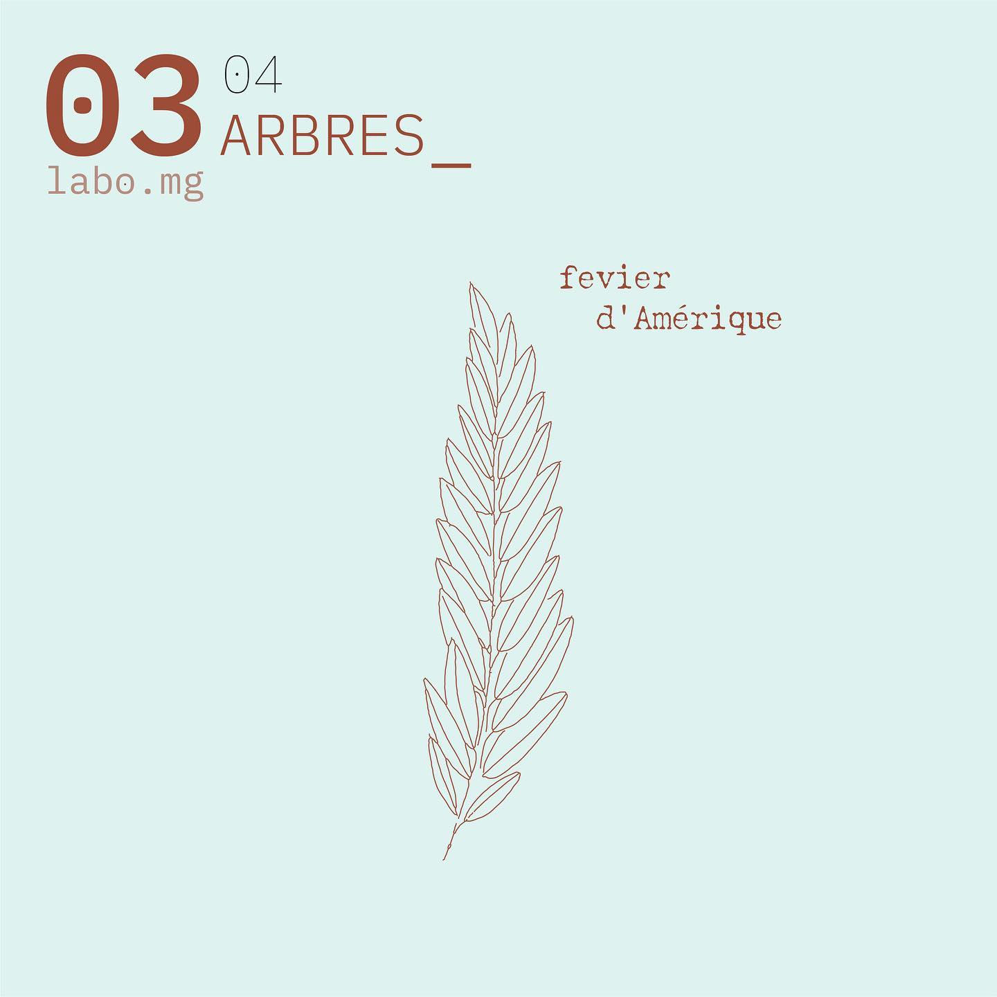 Arbres urbains remarquables