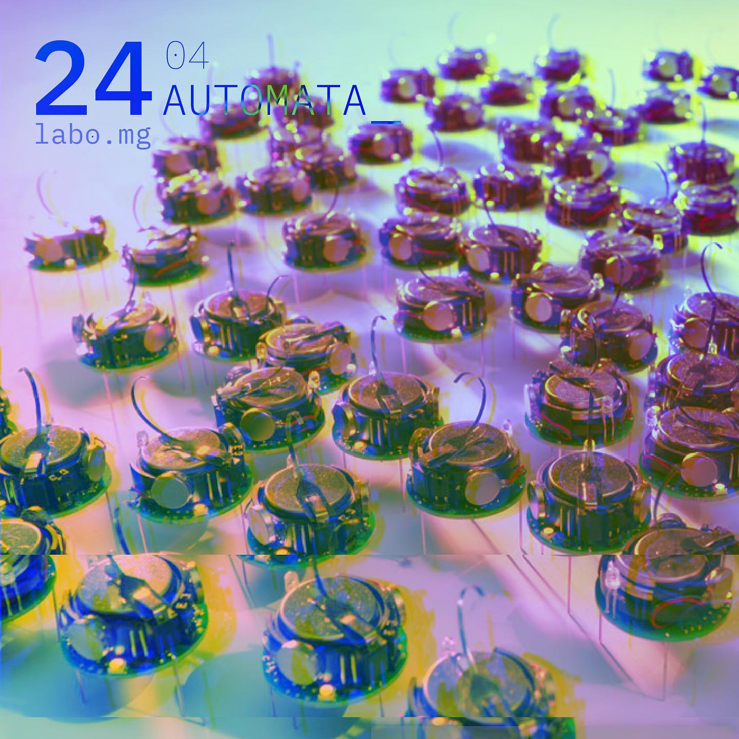 Intelligentia Cœtus