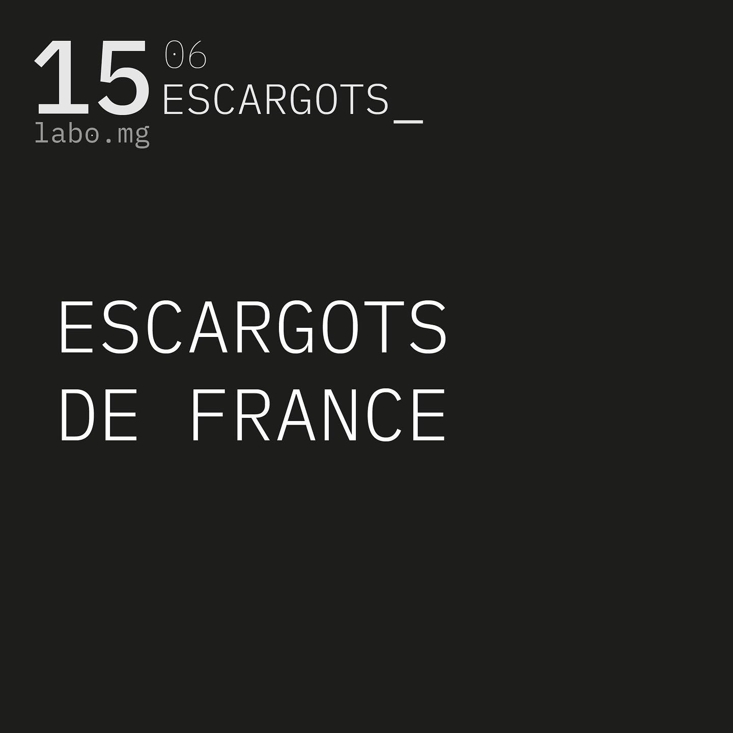 Les escargots après la pluie