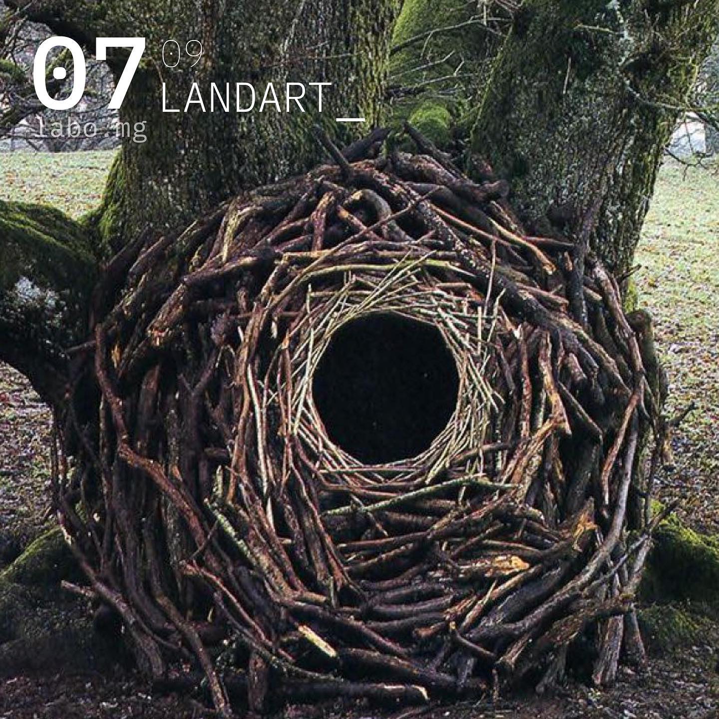 Andy Goldsworthy