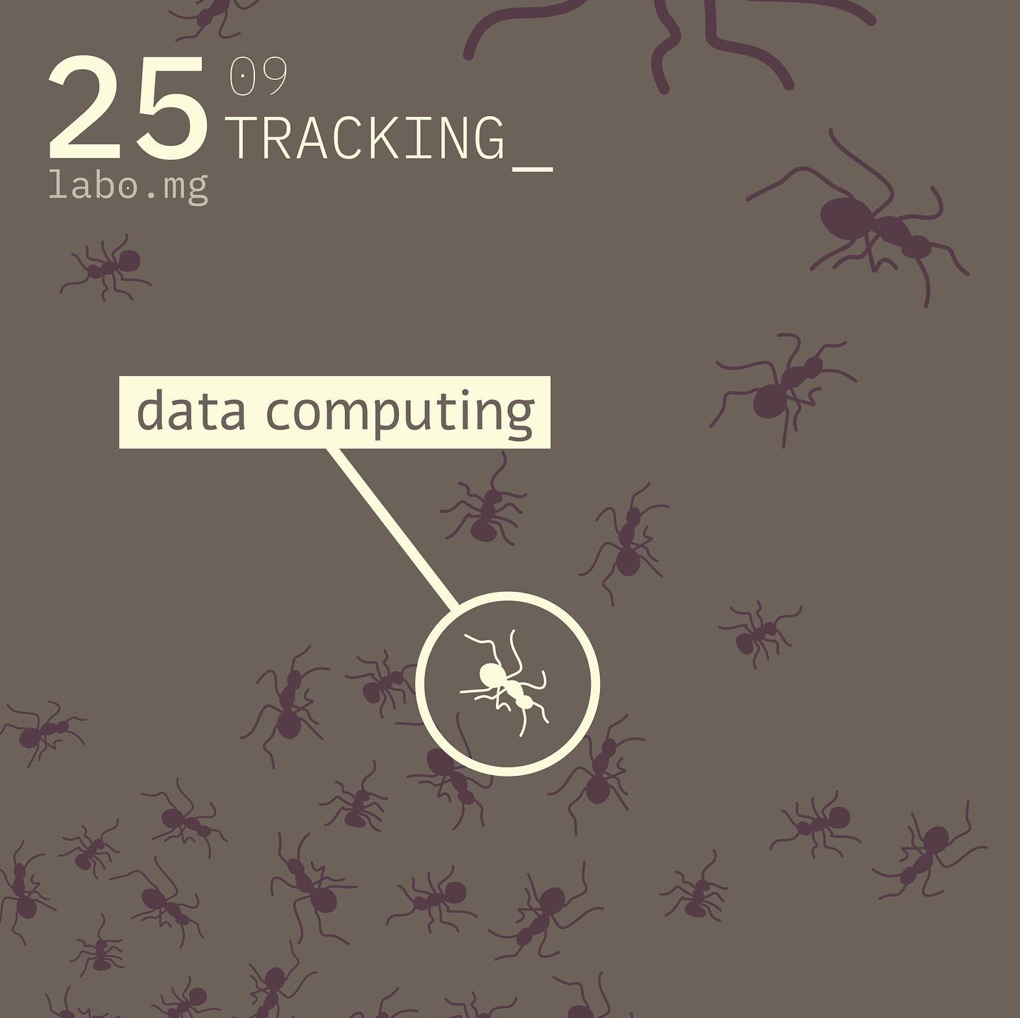 Fourmis et datacomputing