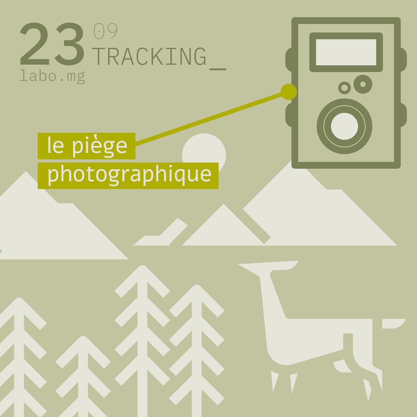 Les pièges photographiques