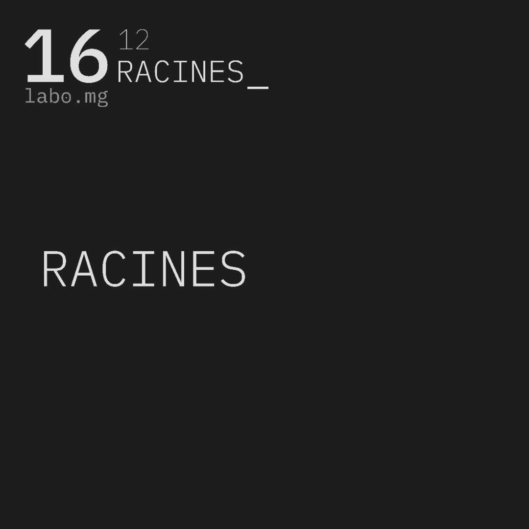 Les racines, ancrage du vivant