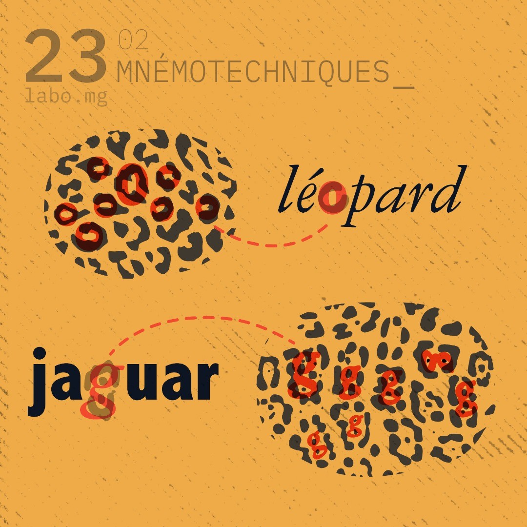 Jaguar ou léopard ?