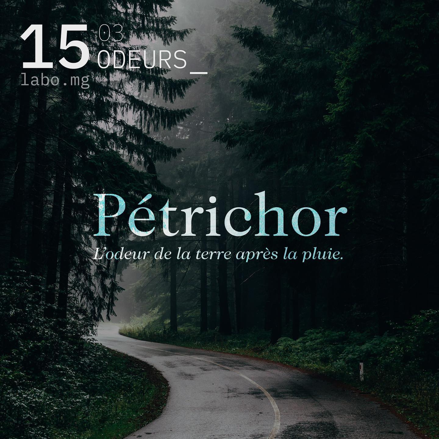 Pétrichor
