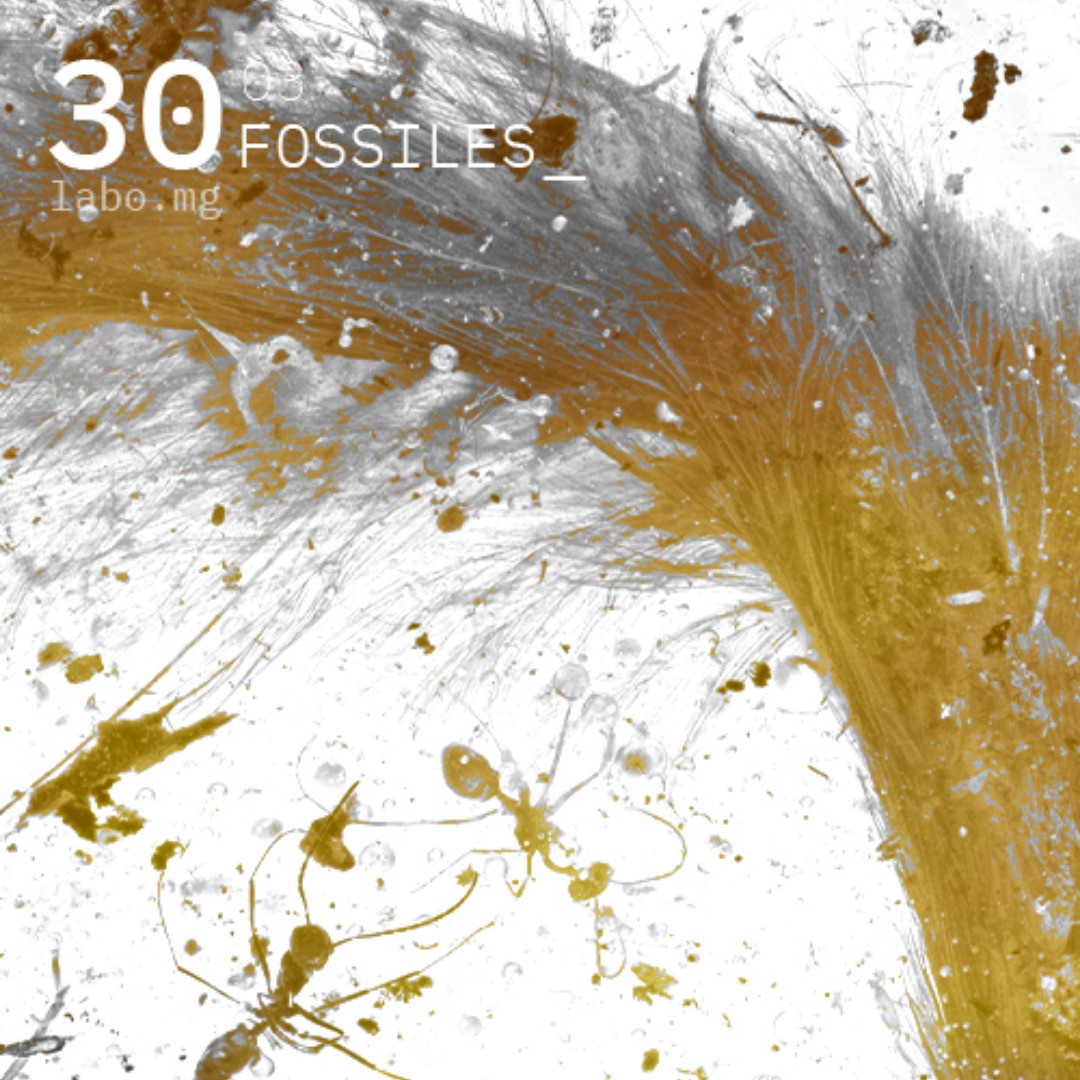 La résine fossile, ambre