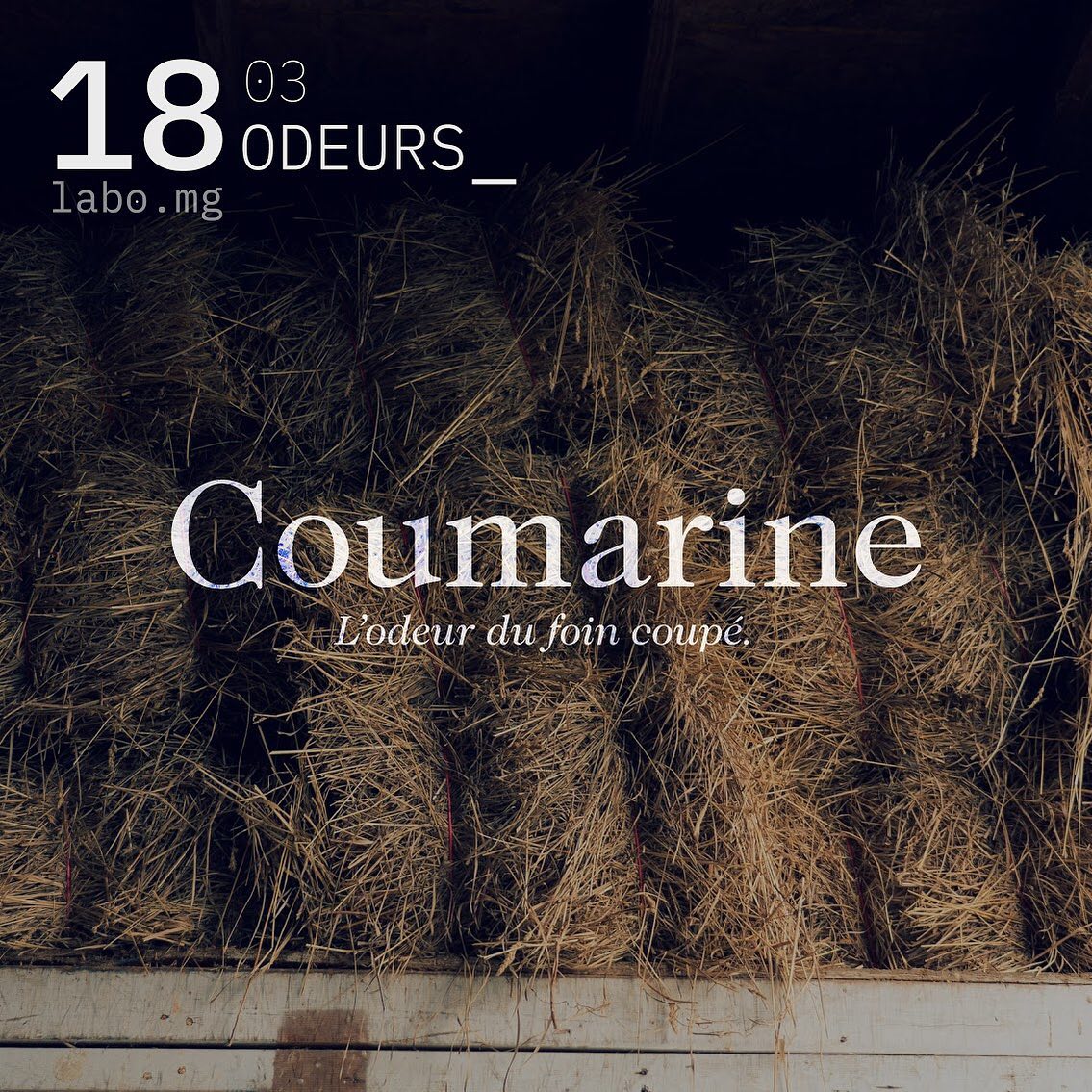 Coumarine