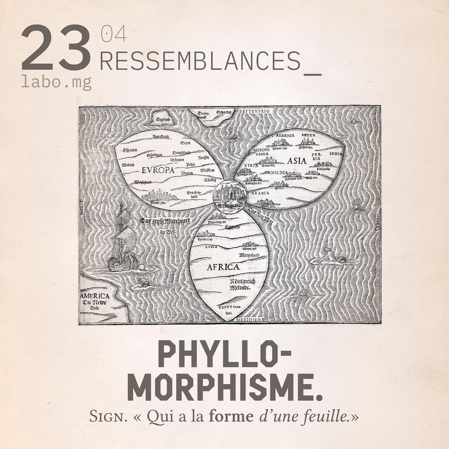 Phyllomorphisme