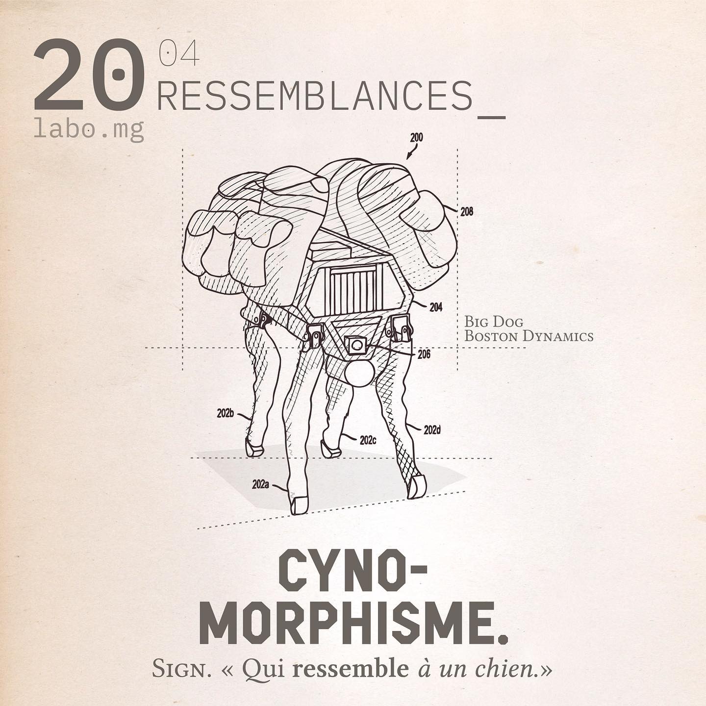 Cynomorphisme