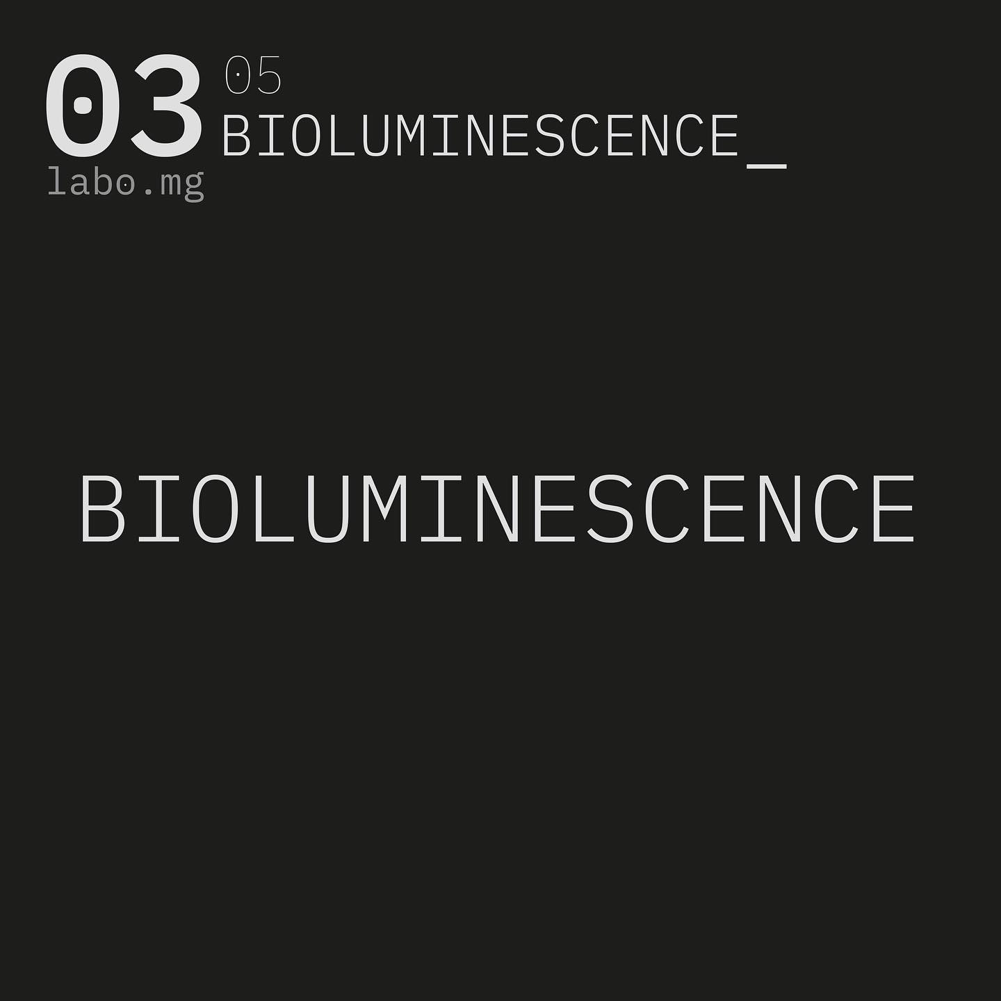 Bioluminescence