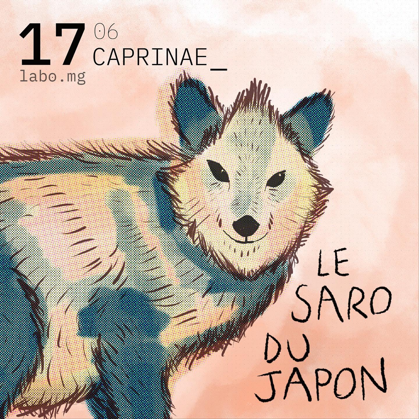 Saro du Japon
