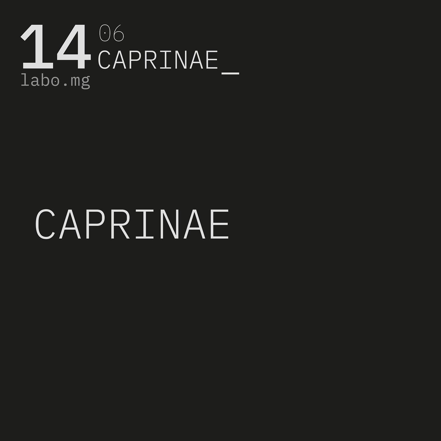 Caprinae