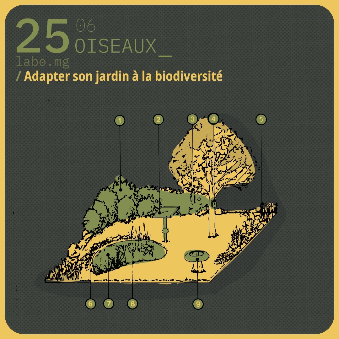 Adapter son jardin à la biodiversité